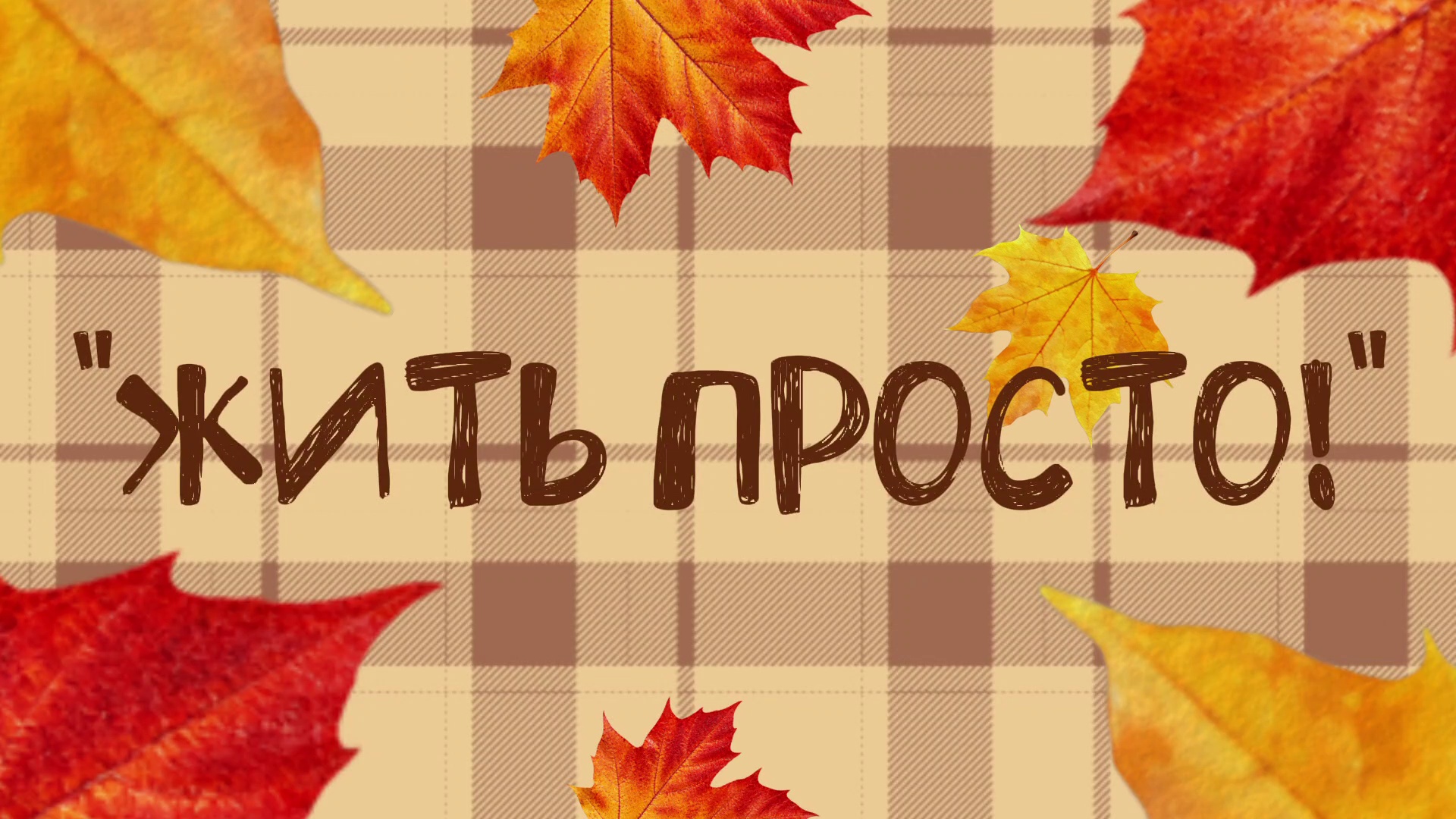 Превью видео